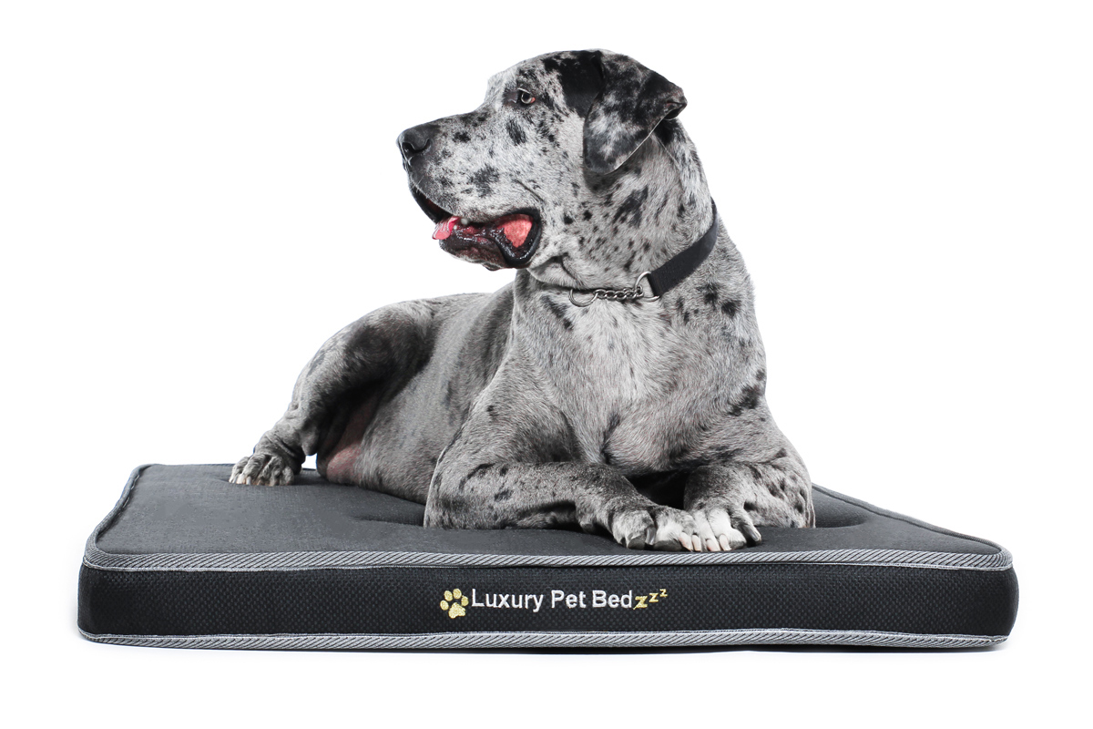 Luxury Pet Beds - banner1