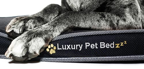 Luxury Pet Beds - img