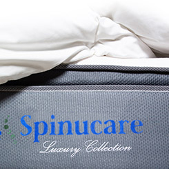 Spinucare - Luxury img